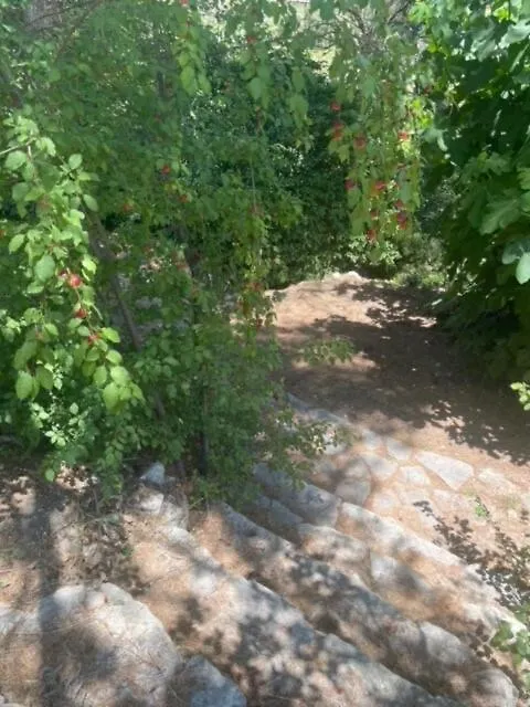 Apartament Le Charmeur - Le Chalet Attrape-Coeur Aix-en-Provence